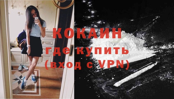 дмт Снежногорск