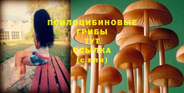 МДПВ Верея